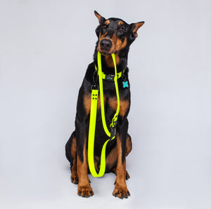 Correa Amarillo Neon Para Perro De  2.7 Metros Larga Multifuncional Impermeable