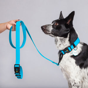 Correa Azul Para Perro De  2.7 Metros Larga Multifuncional Impermeable