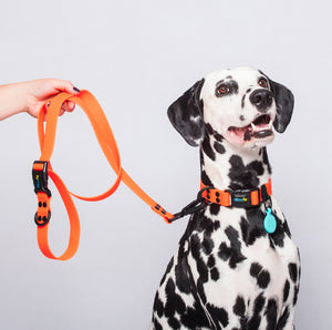 Correa Naranja Neon Para Perro De  2.7 Metros Larga Multifuncional Impermeable