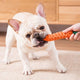 🎁 Kit De Lazos Para Perro X 12: El Regalo Perfecto Para Tu Perro 🎁