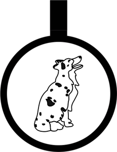 Placa De Identificación Edición Alegría Border Collie