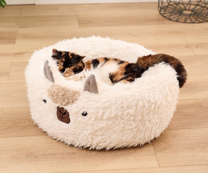 😻🐾Cama Con Diseño Alpaca Dona🐾😻