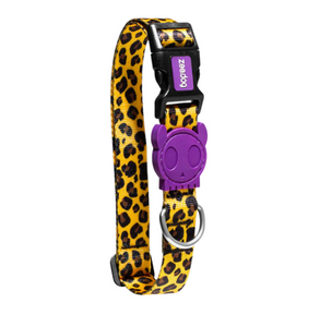 Collar Para Perro Zee.Dog Honey