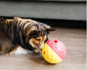 Juguete Interactivo Para Perro Nina Ottosson - Treat Tumble