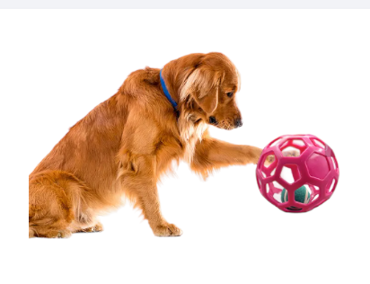 Pelota interactiva de juguete pelota interactiva de juguete para perro  pelota interactiva para perro ANGGREK Otros