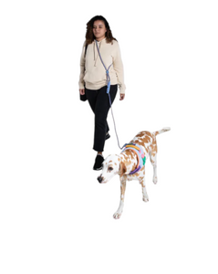 Correa Para Perro Handsfree Andromeda