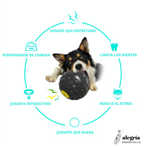 🎾 Pelota Dispensadora de Premios 🍖 con Sonido: Descubre el secreto para un 🐕 perro feliz 🏡😃