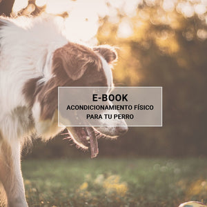 Ebook Acondicionamiento Físico Básico (GRATIS) + CLASE - alegriabordercollie